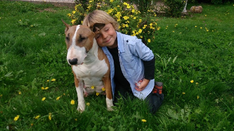 Fioul Des terres d ilex