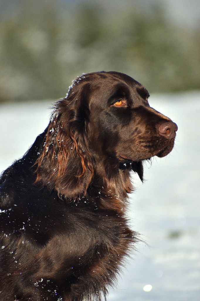 Tempérance Du Cajarc